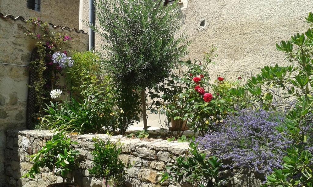 Le Jardin Du Village - Valbonne Pokoj fotografie